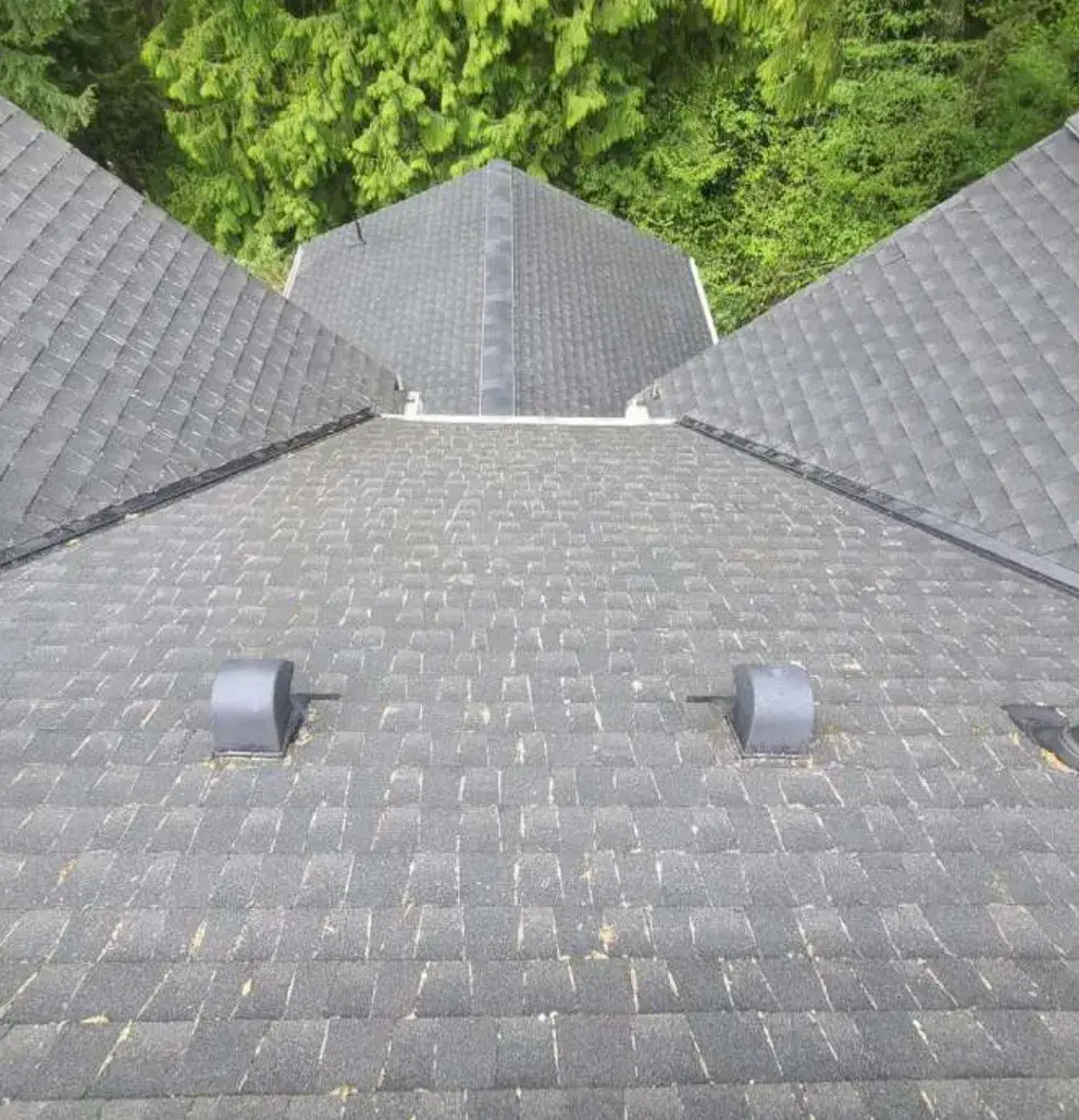 After: the same shingle slope swept clean, both vents and the valleys clear