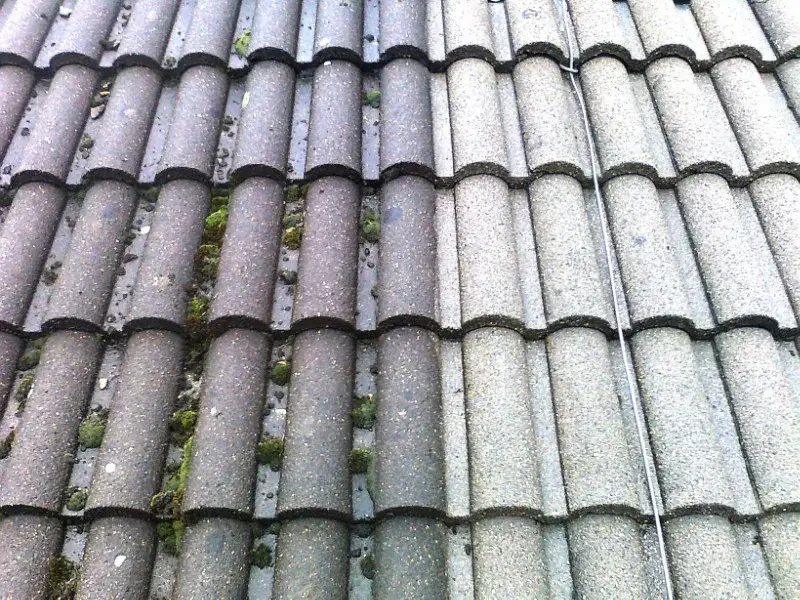 A concrete tile roof mid-job, cleared on one side and still green on the other